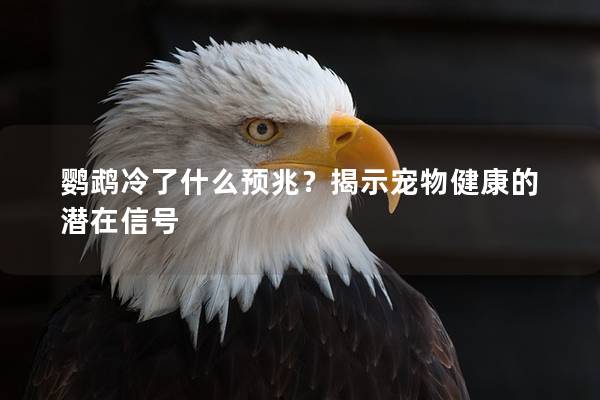 鹦鹉冷了什么预兆？揭示宠物健康的潜在信号