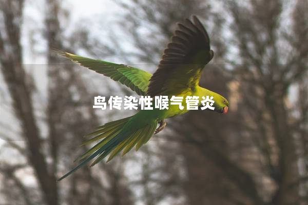鸟传染性喉气管炎