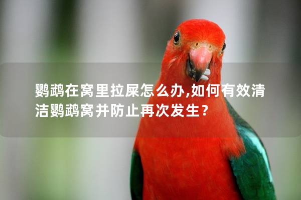 鹦鹉在窝里拉屎怎么办,如何有效清洁鹦鹉窝并防止再次发生？