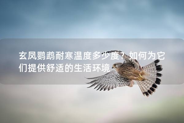 玄凤鹦鹉耐寒温度多少度？如何为它们提供舒适的生活环境