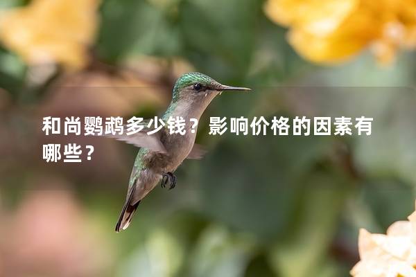 和尚鹦鹉多少钱？影响价格的因素有哪些？