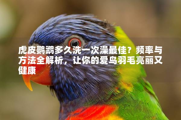 虎皮鹦鹉多久洗一次澡最佳？频率与方法全解析，让你的爱鸟羽毛亮丽又健康