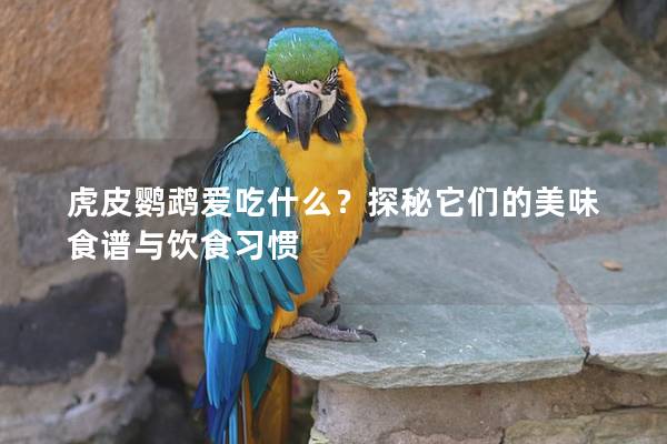 虎皮鹦鹉爱吃什么？探秘它们的美味食谱与饮食习惯