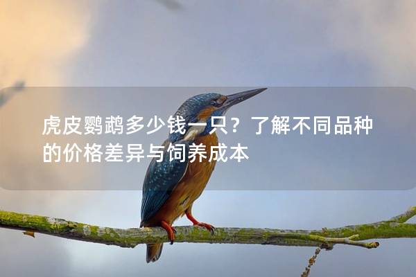 虎皮鹦鹉多少钱一只？了解不同品种的价格差异与饲养成本