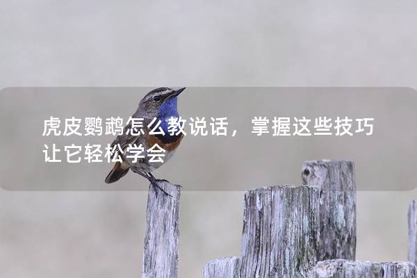 虎皮鹦鹉怎么教说话，掌握这些技巧让它轻松学会