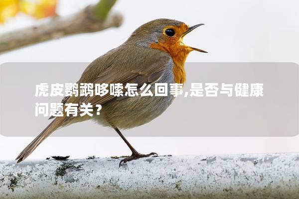 虎皮鹦鹉哆嗦怎么回事,是否与健康问题有关？
