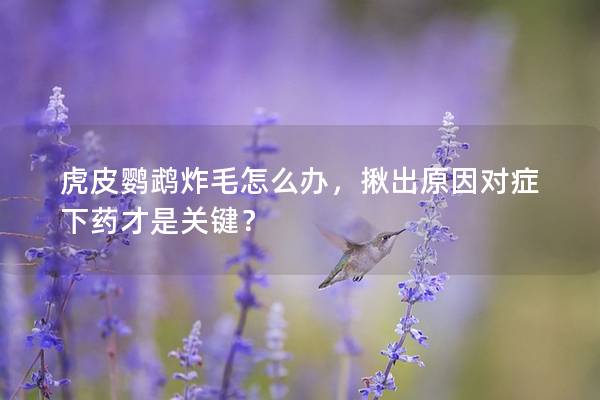 虎皮鹦鹉炸毛怎么办，揪出原因对症下药才是关键？