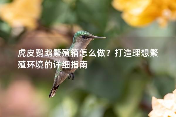 虎皮鹦鹉繁殖箱怎么做？打造理想繁殖环境的详细指南