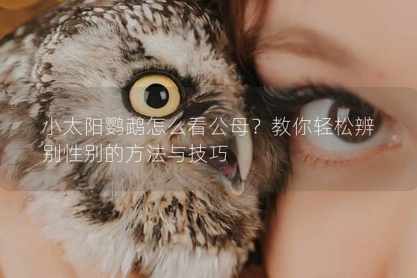 小太阳鹦鹉怎么看公母？教你轻松辨别性别的方法与技巧
