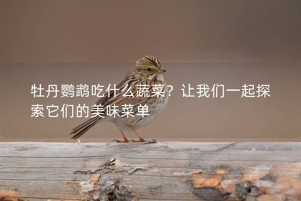 牡丹鹦鹉吃什么蔬菜？让我们一起探索它们的美味菜单