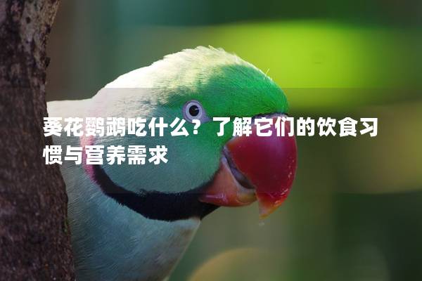 葵花鹦鹉吃什么？了解它们的饮食习惯与营养需求