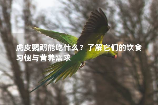 虎皮鹦鹉能吃什么？了解它们的饮食习惯与营养需求