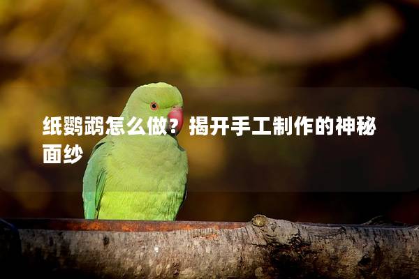 纸鹦鹉怎么做？揭开手工制作的神秘面纱