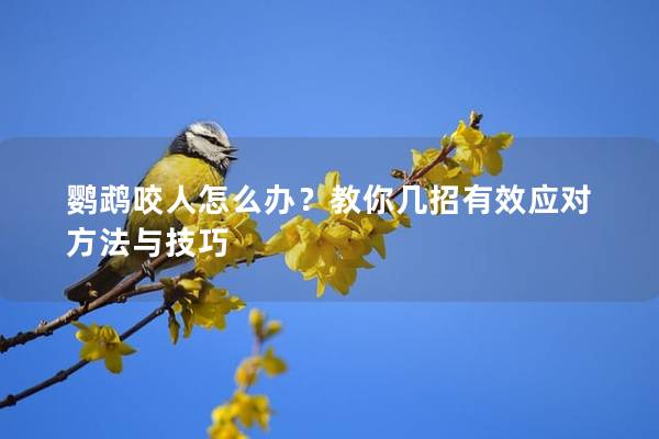 鹦鹉咬人怎么办？教你几招有效应对方法与技巧