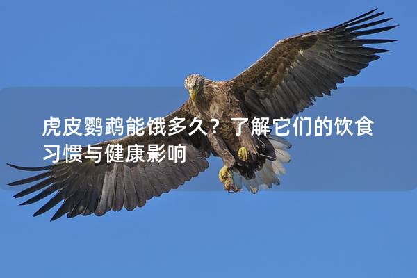 虎皮鹦鹉能饿多久？了解它们的饮食习惯与健康影响