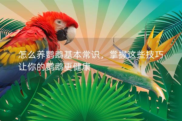 怎么养鹦鹉基本常识，掌握这些技巧让你的鹦鹉更健康