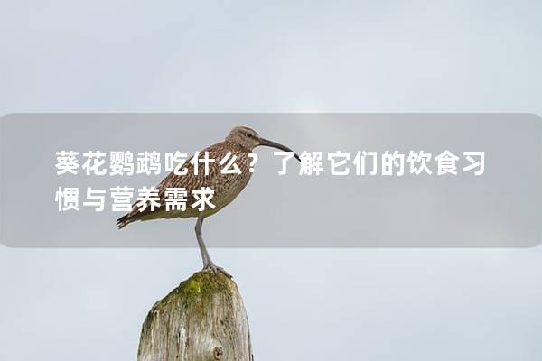 葵花鹦鹉吃什么？了解它们的饮食习惯与营养需求