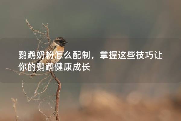 鹦鹉奶粉怎么配制，掌握这些技巧让你的鹦鹉健康成长