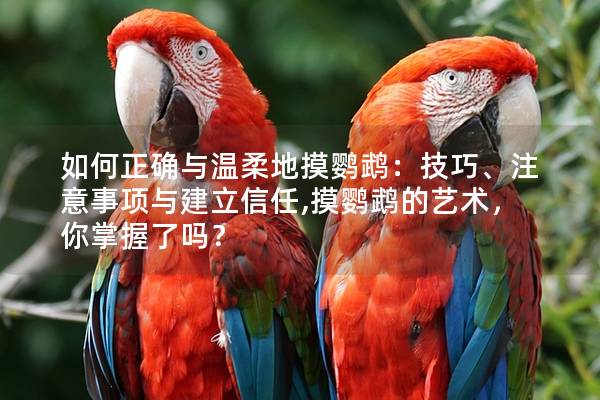 如何正确与温柔地摸鹦鹉：技巧、注意事项与建立信任,摸鹦鹉的艺术，你掌握了吗？