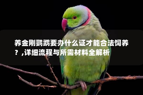 养金刚鹦鹉要办什么证才能合法饲养？,详细流程与所需材料全解析