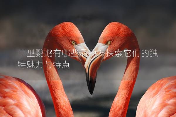 中型鹦鹉有哪些品种？探索它们的独特魅力与特点