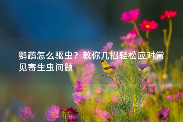 鹦鹉怎么驱虫？教你几招轻松应对常见寄生虫问题
