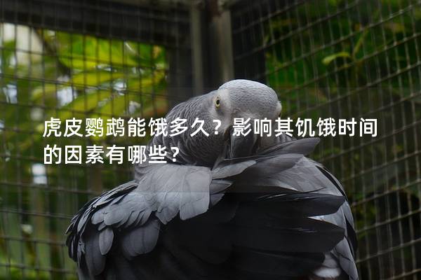 虎皮鹦鹉能饿多久？影响其饥饿时间的因素有哪些？
