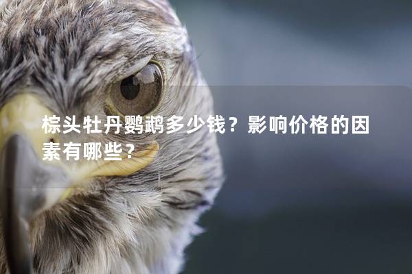 棕头牡丹鹦鹉多少钱？影响价格的因素有哪些？