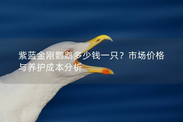 紫蓝金刚鹦鹉多少钱一只？市场价格与养护成本分析