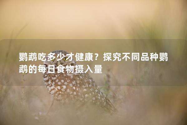 鹦鹉吃多少才健康？探究不同品种鹦鹉的每日食物摄入量
