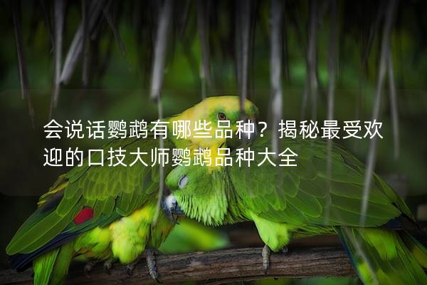 会说话鹦鹉有哪些品种？揭秘最受欢迎的口技大师鹦鹉品种大全