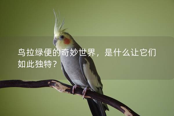鸟拉绿便的奇妙世界，是什么让它们如此独特？