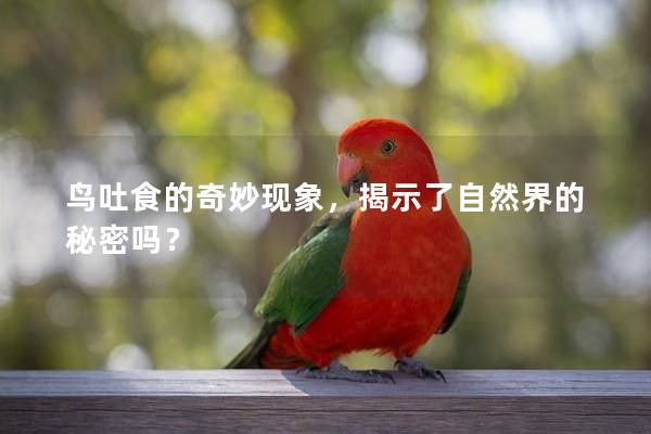 鸟吐食的奇妙现象，揭示了自然界的秘密吗？