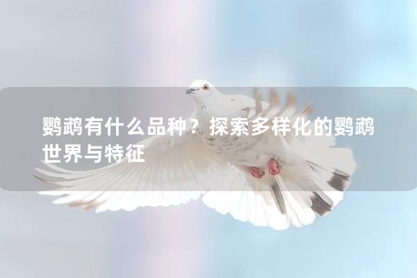 鹦鹉有什么品种？探索多样化的鹦鹉世界与特征