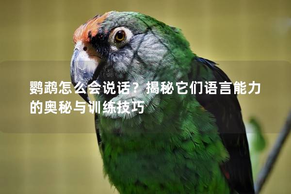 鹦鹉怎么会说话？揭秘它们语言能力的奥秘与训练技巧