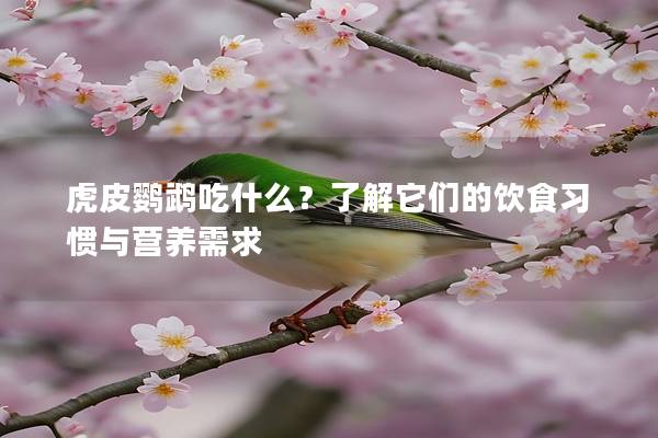 虎皮鹦鹉吃什么？了解它们的饮食习惯与营养需求