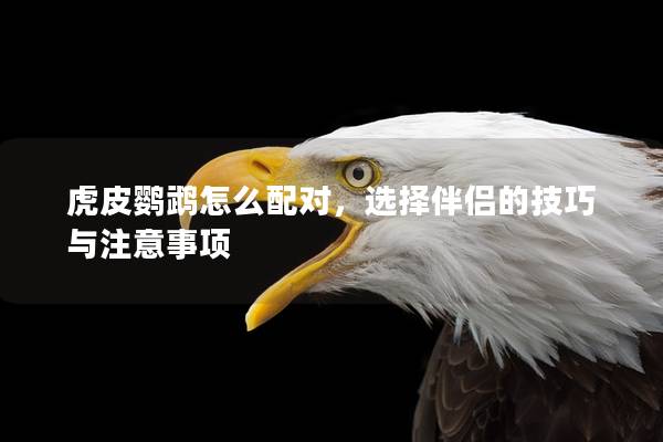 虎皮鹦鹉怎么配对，选择伴侣的技巧与注意事项