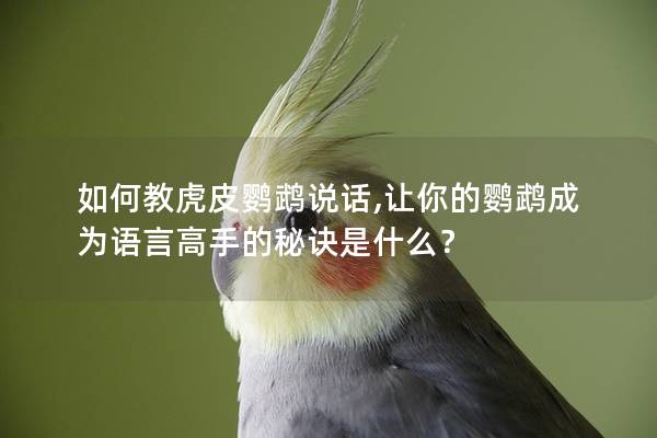 如何教虎皮鹦鹉说话,让你的鹦鹉成为语言高手的秘诀是什么？