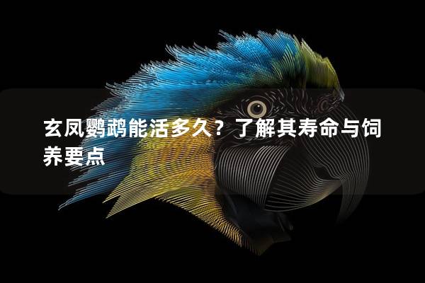 玄凤鹦鹉能活多久？了解其寿命与饲养要点