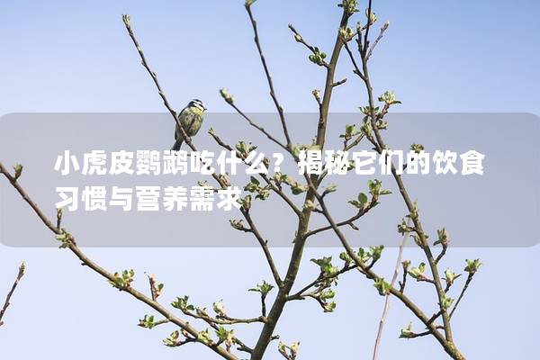小虎皮鹦鹉吃什么？揭秘它们的饮食习惯与营养需求
