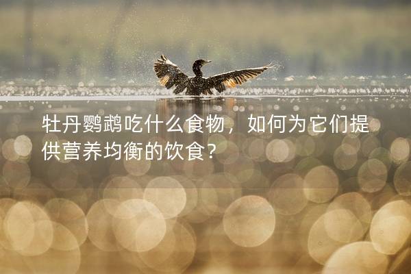 牡丹鹦鹉吃什么食物，如何为它们提供营养均衡的饮食？