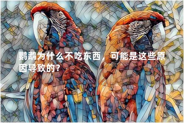 鹦鹉为什么不吃东西，可能是这些原因导致的？