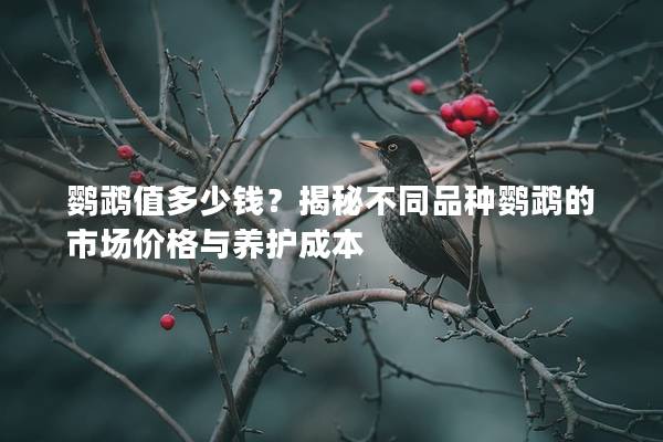 鹦鹉值多少钱？揭秘不同品种鹦鹉的市场价格与养护成本