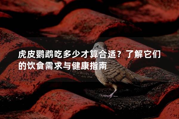虎皮鹦鹉吃多少才算合适？了解它们的饮食需求与健康指南