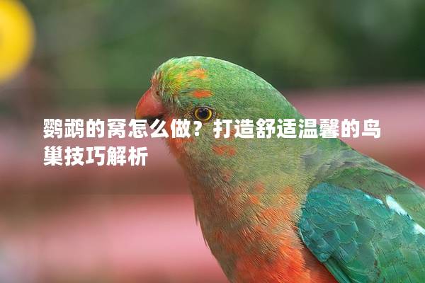 鹦鹉的窝怎么做？打造舒适温馨的鸟巢技巧解析