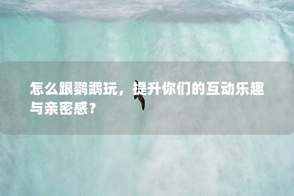怎么跟鹦鹉玩，提升你们的互动乐趣与亲密感？