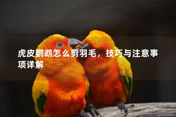 虎皮鹦鹉怎么剪羽毛，技巧与注意事项详解