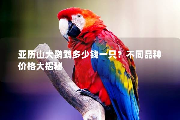 亚历山大鹦鹉多少钱一只？不同品种价格大揭秘