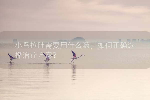 小鸟拉肚需要用什么药，如何正确选择治疗方案？
