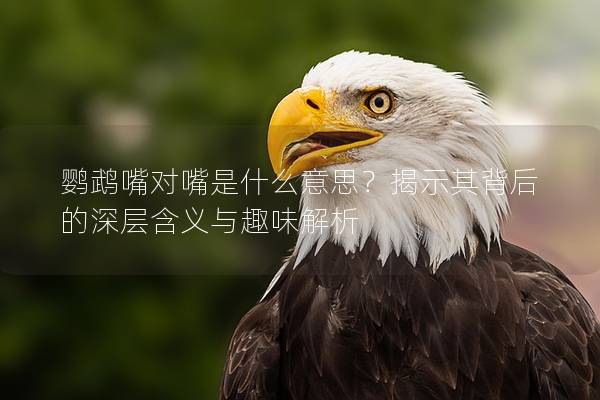 鹦鹉嘴对嘴是什么意思？揭示其背后的深层含义与趣味解析